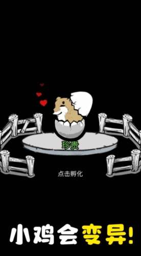 养鸡时长两年半截图