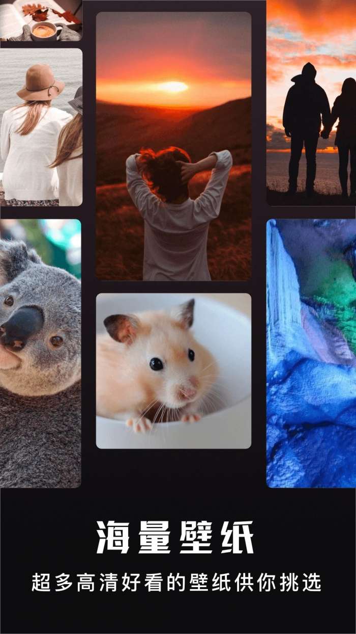 主题盒 2026最新版截图