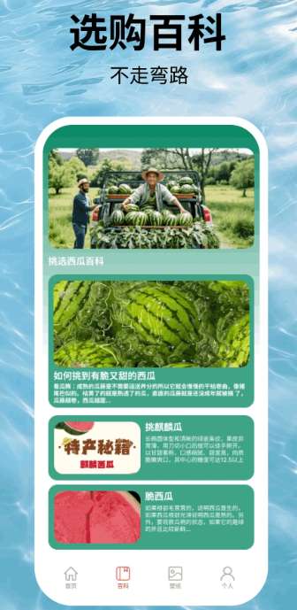 福运西瓜截图