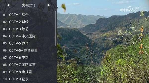 webview电视 tv电视版截图