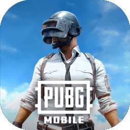 PUBG 2025国际服最新安装入口 v2.4.0