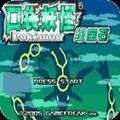 神奇宝贝绿宝石中文版 v2.1.11.159538