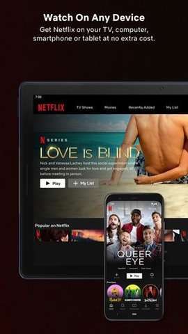 奈飞netflix 官网中文版截图