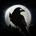 night crows 国际服