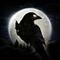 night crows 国际服 v1.0
