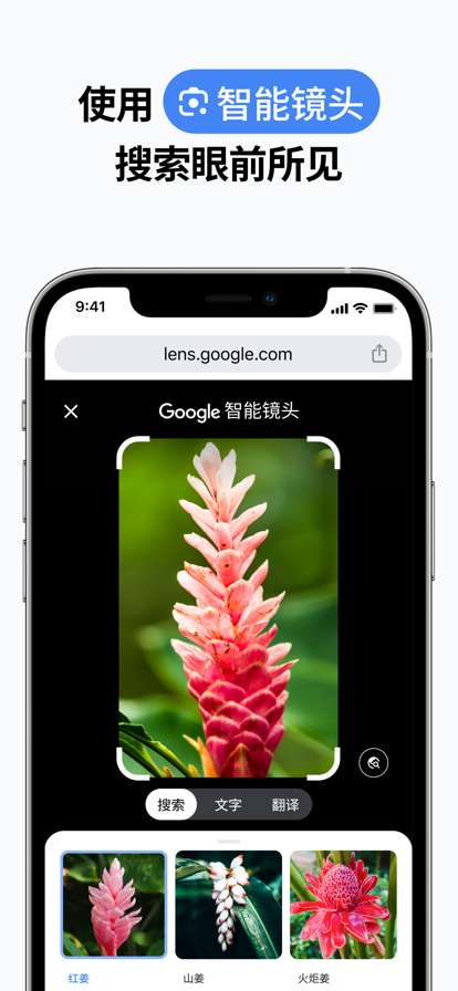 谷歌浏览器 免费下载2025最新版截图
