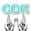 cdk生成器免费版 