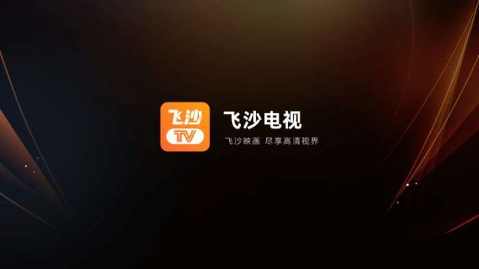 飞沙电视 tv2026升级版截图