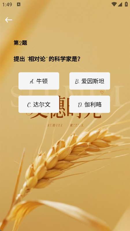 麦穗时光截图