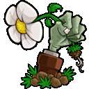 植物大战僵尸海克斯大乱斗版 手机版 v1.0