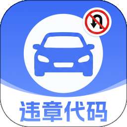 违章交通代码指南 v1.0.0