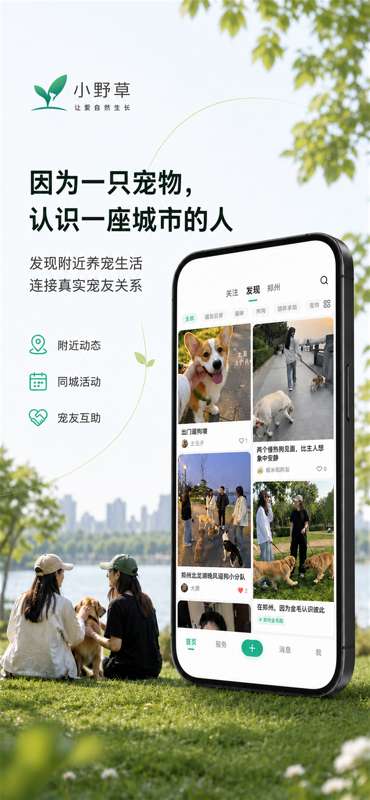 小野草截图