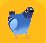 pigeonpop 全皮肤版 v22