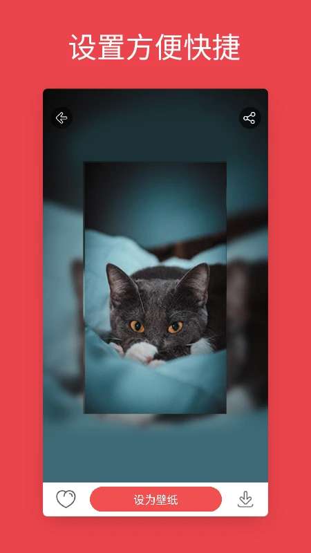 安卓动态壁纸 免费版截图