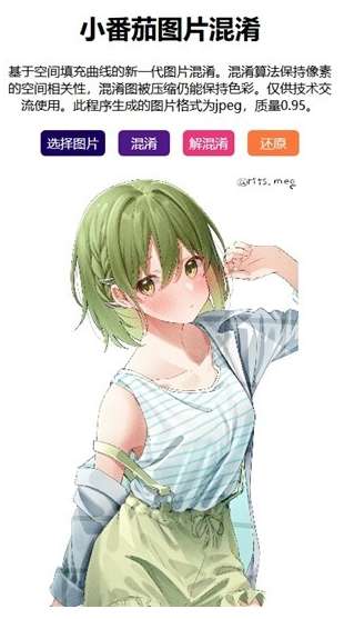 小番茄图片混淆截图