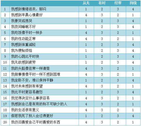 2017抑郁自评量表sds电脑版截图