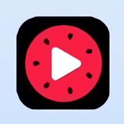 头条视频下载工具电脑版 