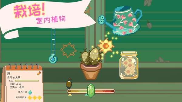 window garden截图