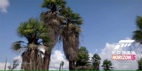 地平线5 官方入口截图