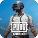 pubg越南服 直装版 v2.4.0