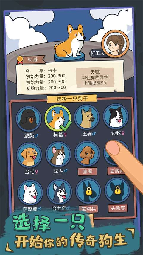 狗生模拟器 无广告版截图