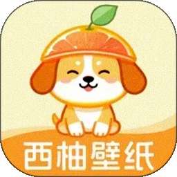 西柚壁纸 v1.0.4