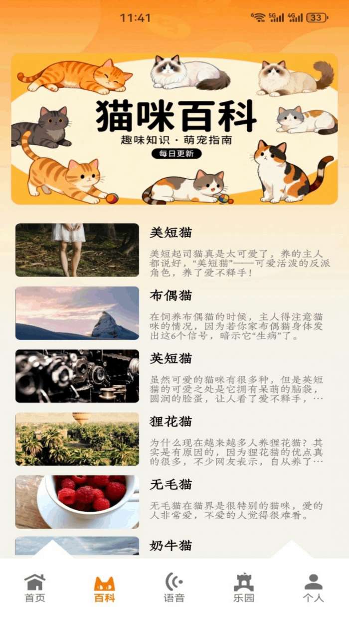 暖暖猫咪截图