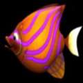大鱼吃小鱼木糖版 v0.1.0