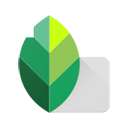 snapseed 官网免费正版 v346