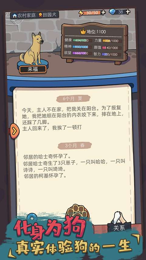 狗生模拟器 无广告版截图