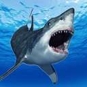 鲨鱼的恐怖袭击