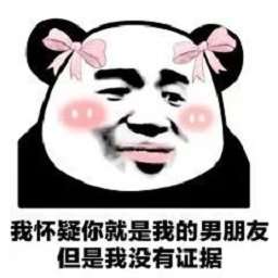 我怀疑你在开车但我没有证据表情包 