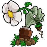 植物大战僵尸废物直装版 v1.10