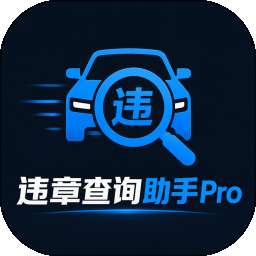 违章查询助手Pro v1.0.1