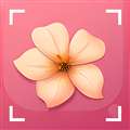 识花君 拍照识花 v1.1.6
