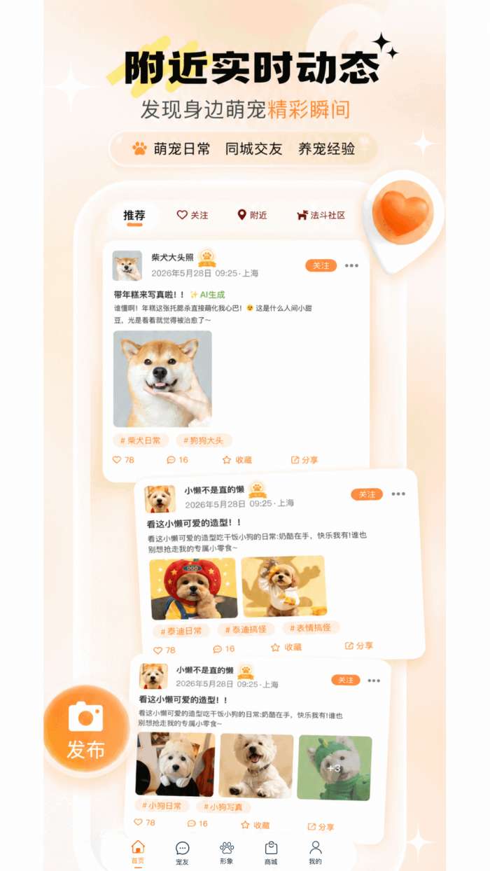 宠问截图