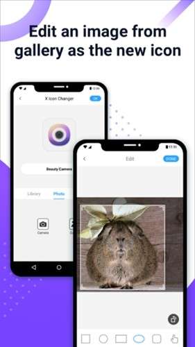 xiconchanger 官网中文版截图