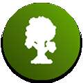 tmodloader 模组整合包 v1.1075