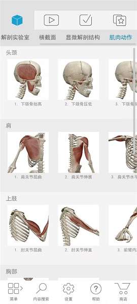 atlas人体解剖截图