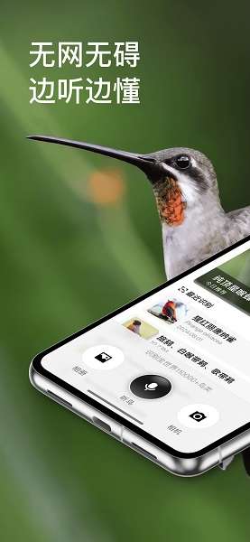 懂鸟截图