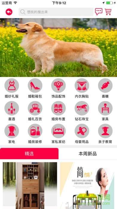 婚礼象 安卓版截图