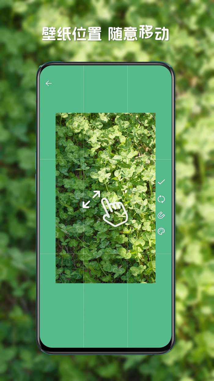 星咩视频壁纸 最新版本截图