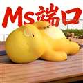 ms端口 免费版 v@MsNb76