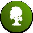 tmodloader 联机版 v1.1075