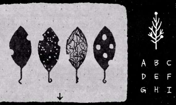 她的树谜题梦截图