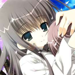 樱之诗 冷狐版 v1.0