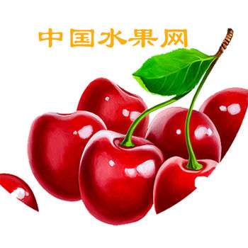 中国水果网 v1.4
