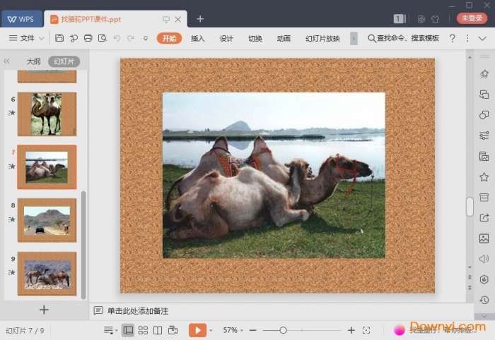 找骆驼教学ppt截图