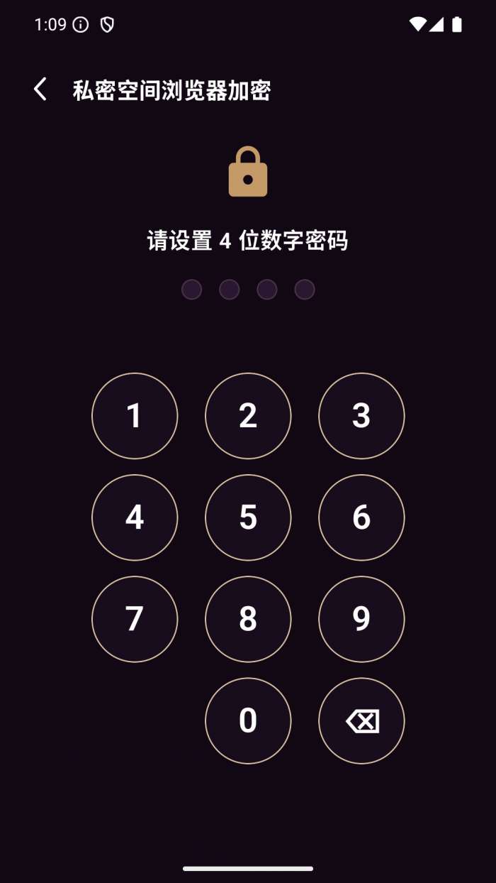 私密空间浏览器截图