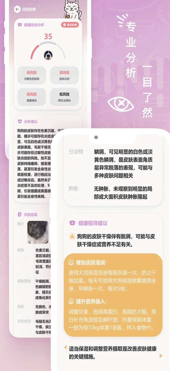 petpix截图